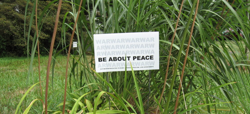 South Mountain Peace Action